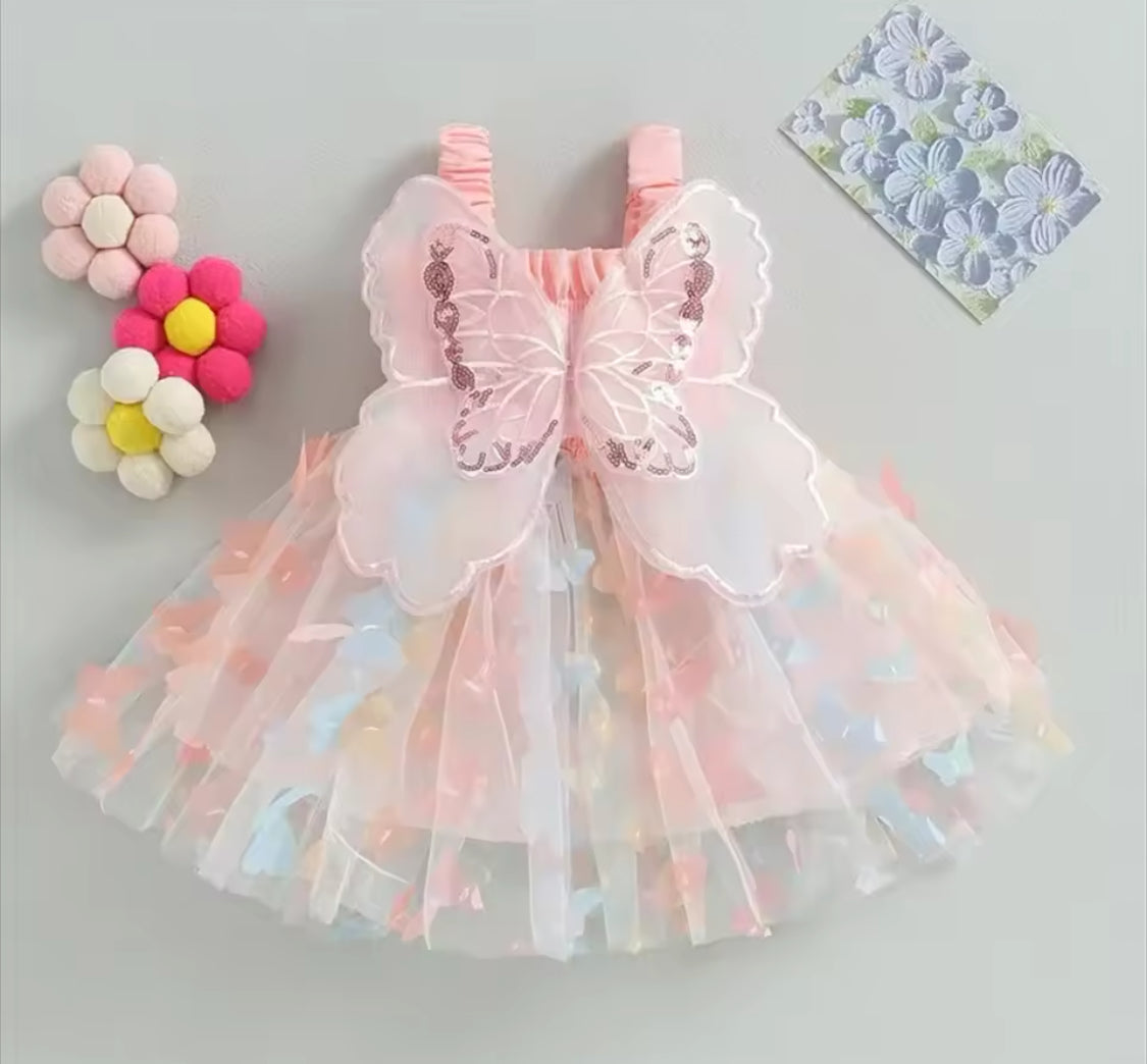 Butterfly Rainbow